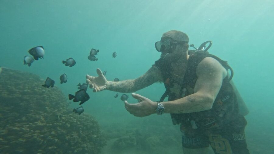 Honolulu: Beginner Scuba Diving Tour With Free Videos - Who should book this Honolulu session?