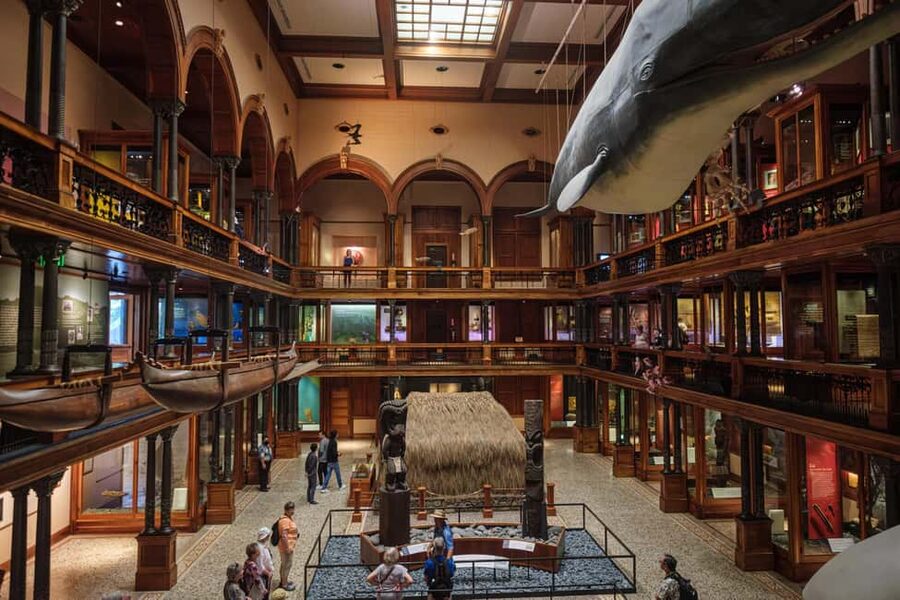 Honolulu: Bishop Museum General Admission Ticket - The Science and Adventure Center brings geology to life