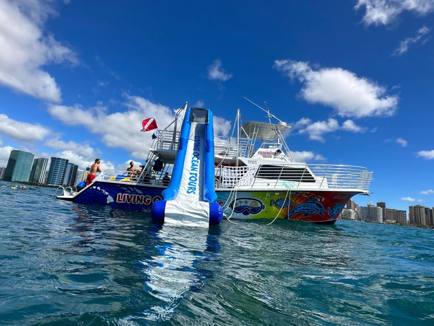 Honolulu: Deluxe Waikiki Snorkel and Wildlife Cruise - From Kewalo Basin to Diamond Head
