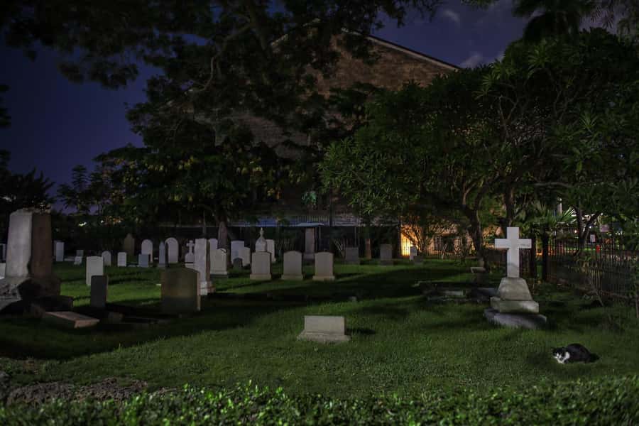 Honolulu Haunts: Ghosts and Spirits Walking Tour - Who will enjoy this most