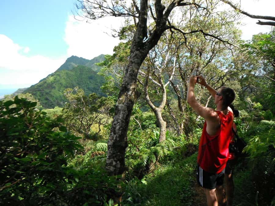 Honolulu: Hawaiian Volcanic Rainforest Hike - Reaching views of the Ko’olau and Waianae ranges