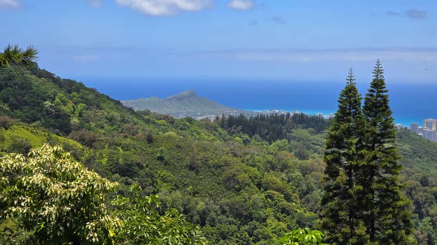 Honolulu: Hawaiian Volcanic Rainforest Hike - Looking toward Honolulu, Waikiki, and Pearl Harbor