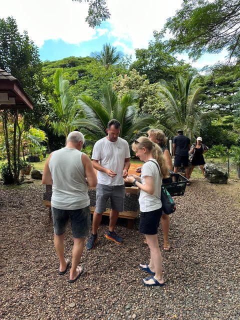 Honolulu: Highlights of Oahu Small Group Tour - Macadamia nuts and the view of Chinaman’s Hat