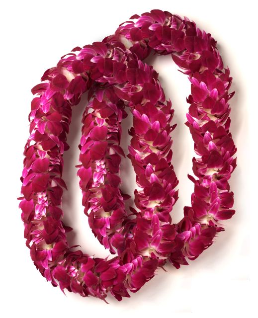 Honolulu Honeymoon Airport Lei Greeting - How much value does $78 provide?
