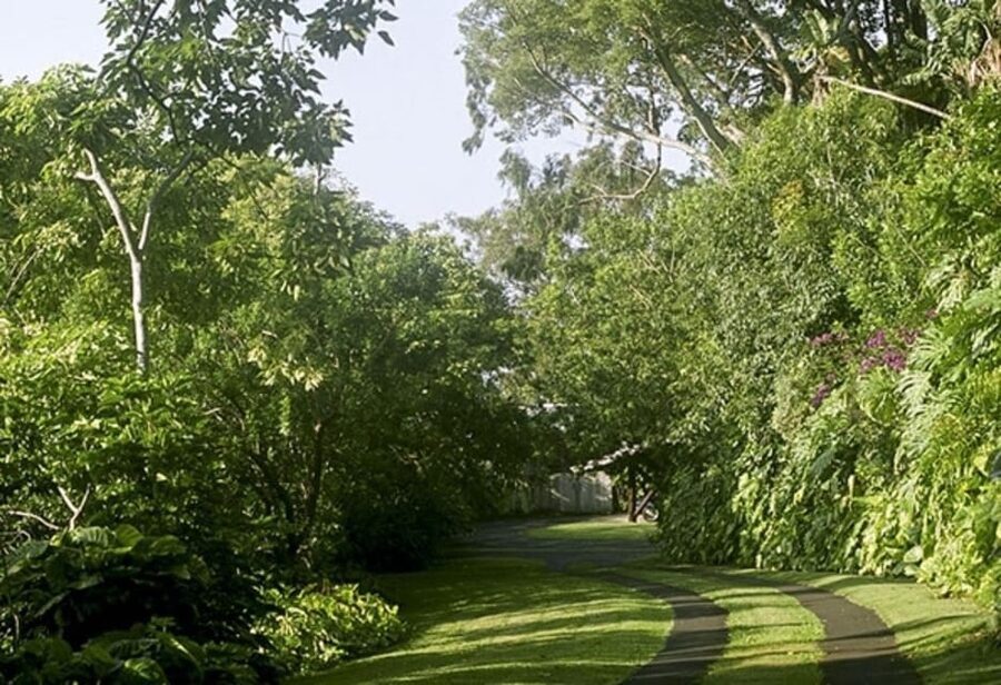 Honolulu: Liljestrand House Architectural Tour - The value of a guide with a personal connection