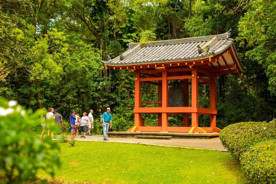 Honolulu: Oahu Island Full-Day Guided Tour by Bus with Lunch - The quick case for booking this Oahu circle tour