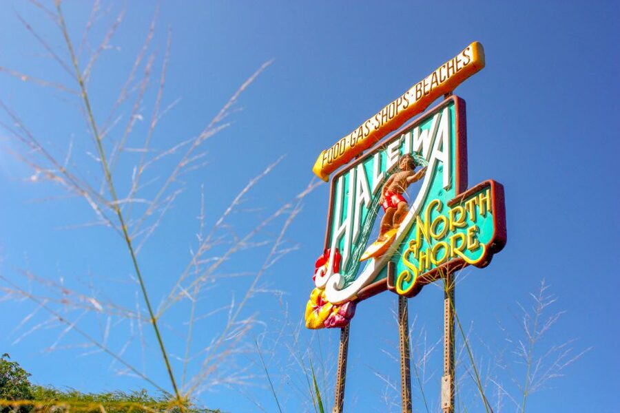 Honolulu: Oahu Island Full-Day Guided Tour by Bus with Lunch - The guide can make or break the long bus ride