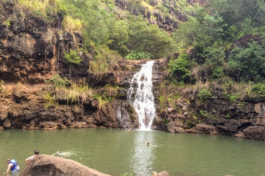 Honolulu: Oahu Island Full-Day Guided Tour by Bus with Lunch - Lunch, local flavors, and a flexible schedule