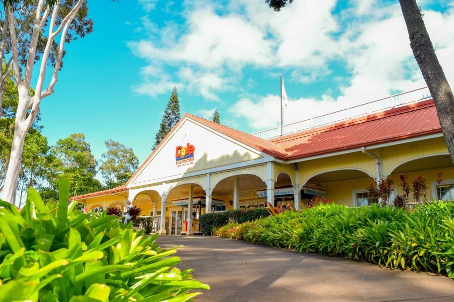 Honolulu: Oahu Island Full-Day Guided Tour by Bus with Lunch - Dole Plantation and the pineapple story