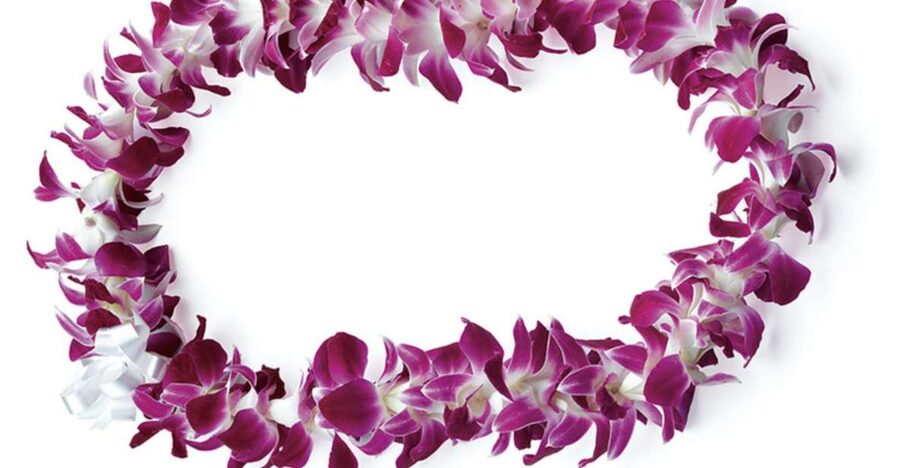 Honolulu: Private Airport Transfer with Arrival Lei Greeting - Key points at a glance