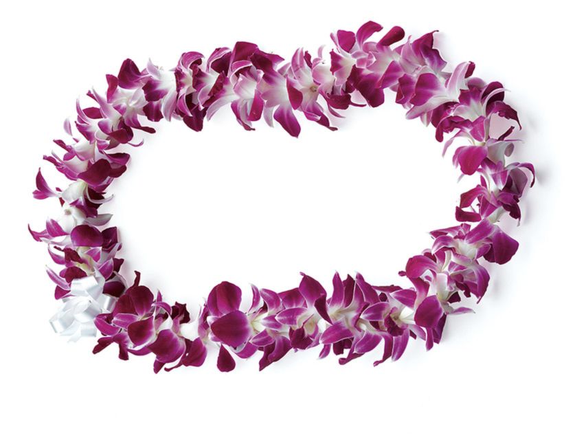 Honolulu: Private Airport Transfer with Arrival Lei Greeting - Finding your driver at Honolulu Airport