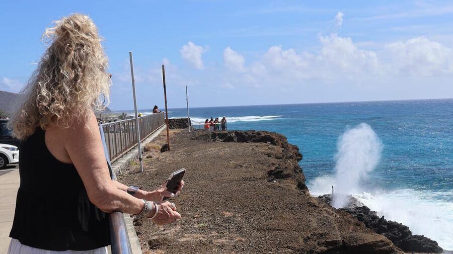 Honolulu: Stunning Views of Oahu! Half-day Scenic Tour - Should you book it?