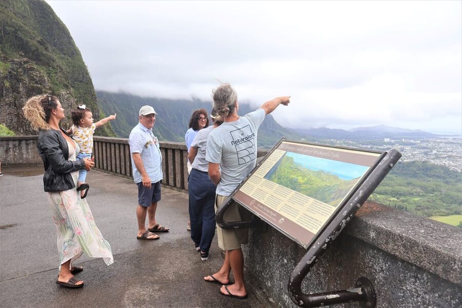 Honolulu: Stunning Views of Oahu! Half-day Scenic Tour - Who should book this tour?