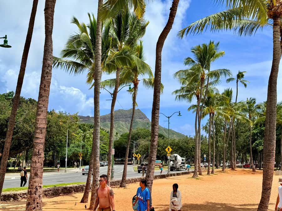 Honolulu: Waikiki Food Tour with Local Guide - What the three-hour format means for you