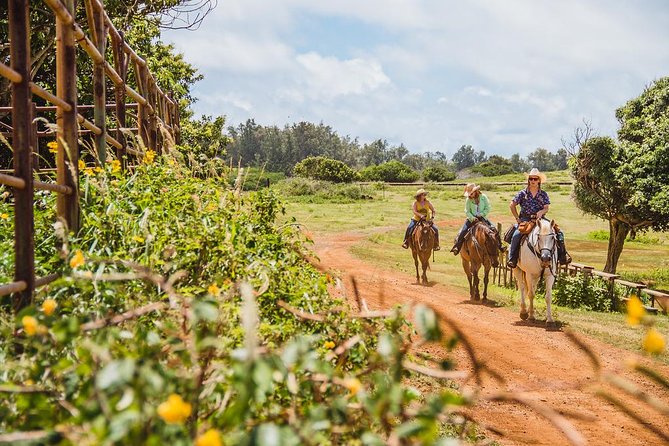 Horseback Ride Like an Authentic Paniolo in Kahuku - Key points at a glance
