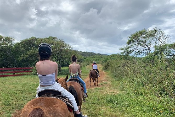 Horseback Ride Like an Authentic Paniolo in Kahuku - The horses and the riding experience
