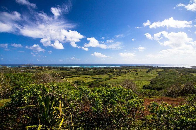 Horseback Ride Like an Authentic Paniolo in Kahuku - What the route is like