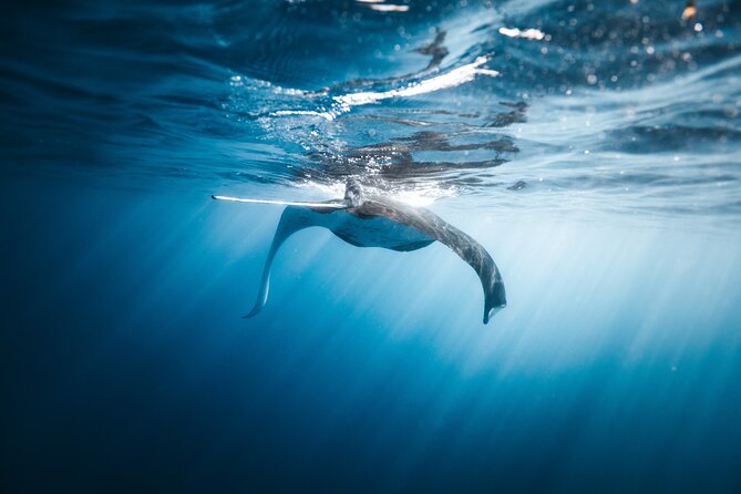 'Imiloa Express Nā Pali Snorkel Tour - Is $211.99 a fair price?