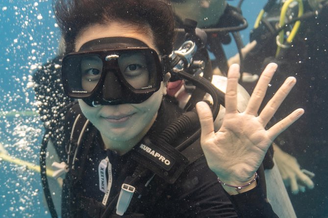Incredibly Fun Coral Reef Giant Sea Turtles 4hour Boat Scuba Tour - What the four-hour morning looks like