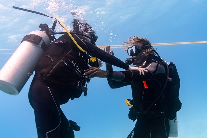 Incredibly Fun Coral Reef Giant Sea Turtles 4hour Boat Scuba Tour - The listed Oahu stops, and what they really mean