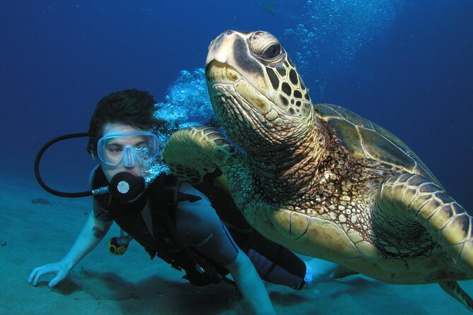 Intro/Refresher Dive Swim Ability Required - Meeting Mike, Thai, or another certified instructor