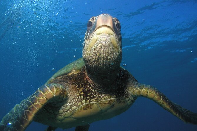 Intro/Refresher Dive Swim Ability Required - Health questions and the 12-hour altitude rule