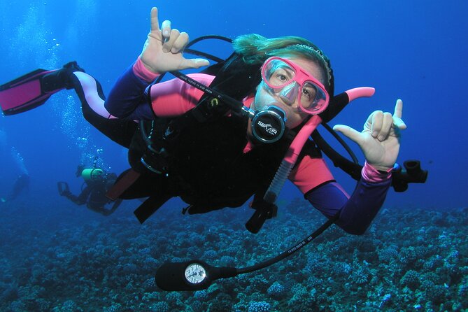 Intro/Refresher Dive Swim Ability Required - What happens during the two-hour session