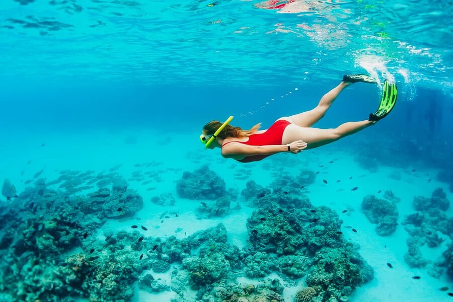 Ka'anapali Beach: Coral Reef Snorkel and Turtle Spotting - Booking details worth knowing before you go