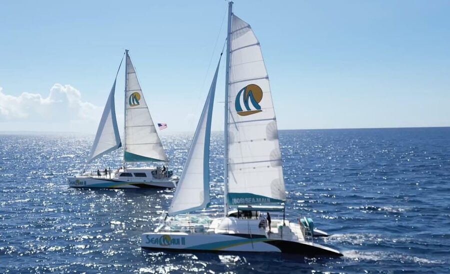 Ka'anapali Beach: Coral Reef Snorkel and Turtle Spotting - Meeting Sea Maui at Whalers Village