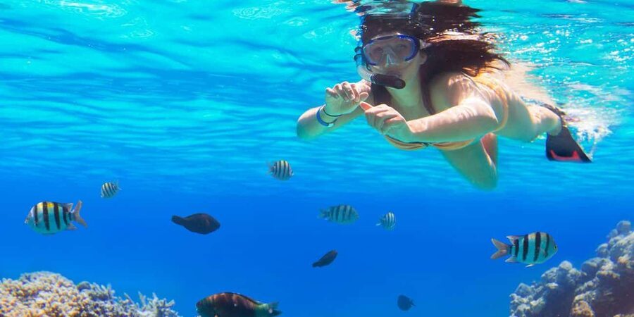 Ka'anapali Beach: Coral Reef Snorkel and Turtle Spotting - The ride to Mala Wharf or another West Maui site