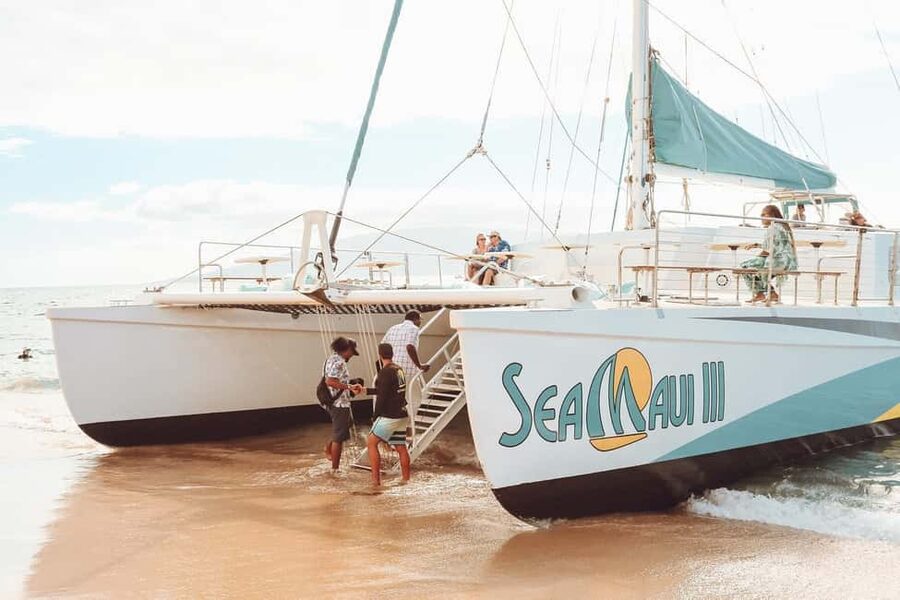 Ka'anapali Beach: Coral Reef Snorkel and Turtle Spotting - Why the two-and-a-half-hour timing works