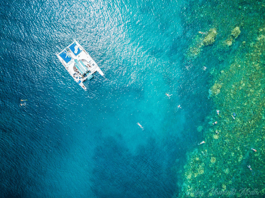 Ka'anapali Beach: Coral Reef Snorkel and Turtle Spotting - Value at $134 per person
