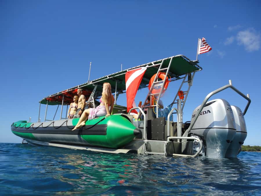 Ka'anapali: Whale Watching Boat Tour - The two-hour route and what you will do