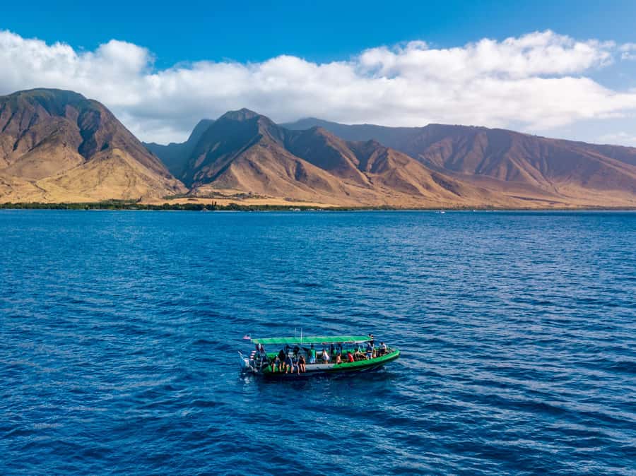 Ka'anapali: Whale Watching Boat Tour - Boarding the Magic Merman