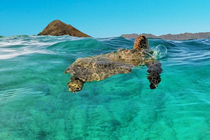 Kailua 2-Hour Guided Kayaking Excursion, Oahu - Paddling Kailua Bay beneath the Ko’olau Mountains