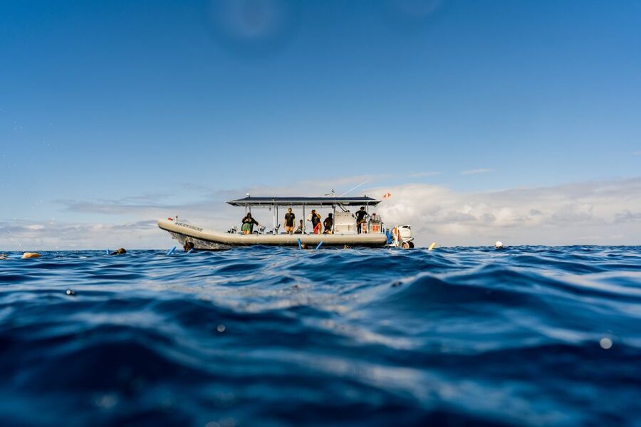 Kailua-Kona: Big Island Morning Snorkeling Tour with Lunch - Who should book this Kona snorkeling tour?