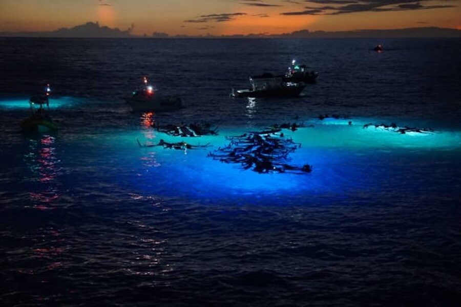 Kailua-Kona: Manta Ray Watching Nighttime Boat Trip - Why Kona’s manta ray encounter feels so special