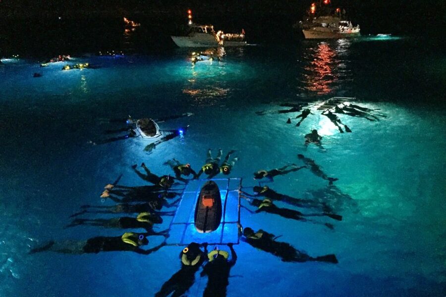 Kailua Kona: Night Manta Ray Adventure on the Big Island - The manta show, up close and upside down
