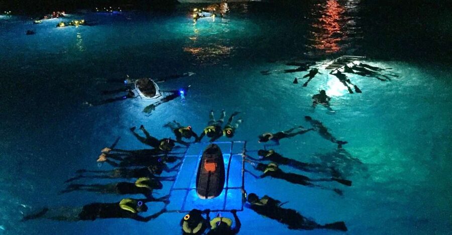 Kailua Kona: Night Manta Ray Adventure on the Big Island - Holding onto the light board