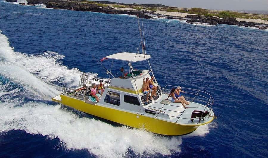 Kailua-Kona: Night Manta Snorkel or Dive - Key points to know before booking
