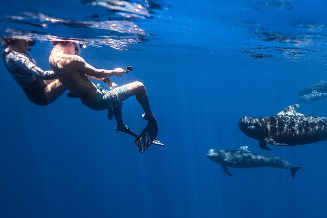 Kaimana Ocean Safari - Why six people changes the experience