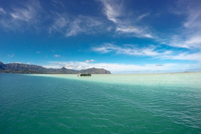 Kaneohe Sandbar Snorkeling Tour - 2nd Tour - Snorkeling near fish and sea turtles