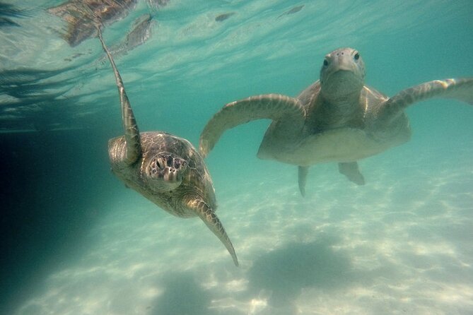 Kaneohe Sandbar Snorkeling Tour - 2nd Tour - Paddle boards, floats, and time to slow down