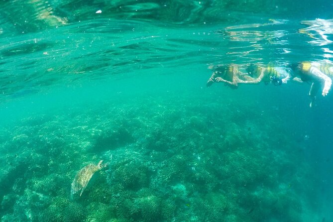 Kaneohe Sandbar Snorkeling Tour - 2nd Tour - Snacks, drinks, and what to bring