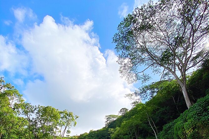 Kauai Adventure: Kayak & Hike to Secret Falls with Expert Guide - Returning by river takes more energy than expected