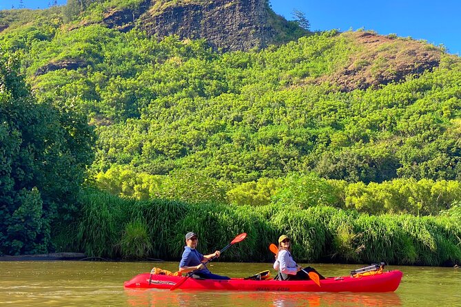 Kauai Adventure: Kayak & Hike to Secret Falls with Expert Guide - The $140 price: what you are paying for