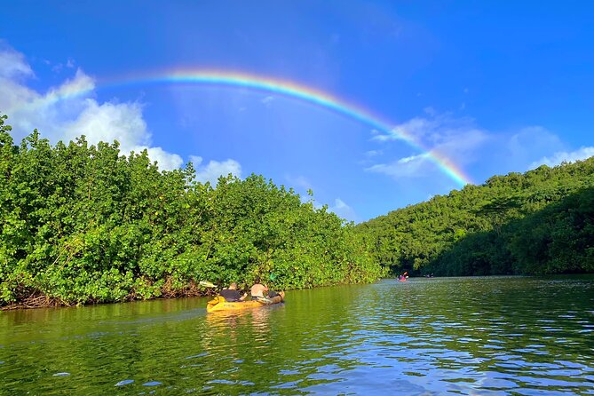 Kauai Adventure: Kayak & Hike to Secret Falls with Expert Guide - Who should book this Kauai outing