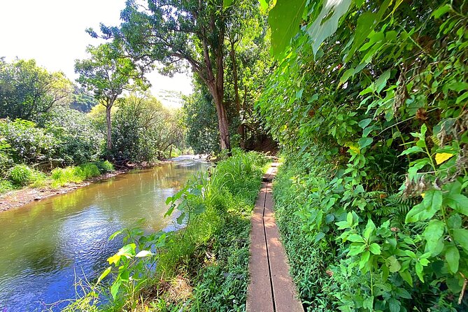 Kauai Adventure: Kayak & Hike to Secret Falls with Expert Guide - Weather, cancellations, and timing