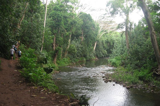 Kauai Adventure: Kayak & Hike to Secret Falls with Expert Guide - Secret Falls rewards the muddy miles