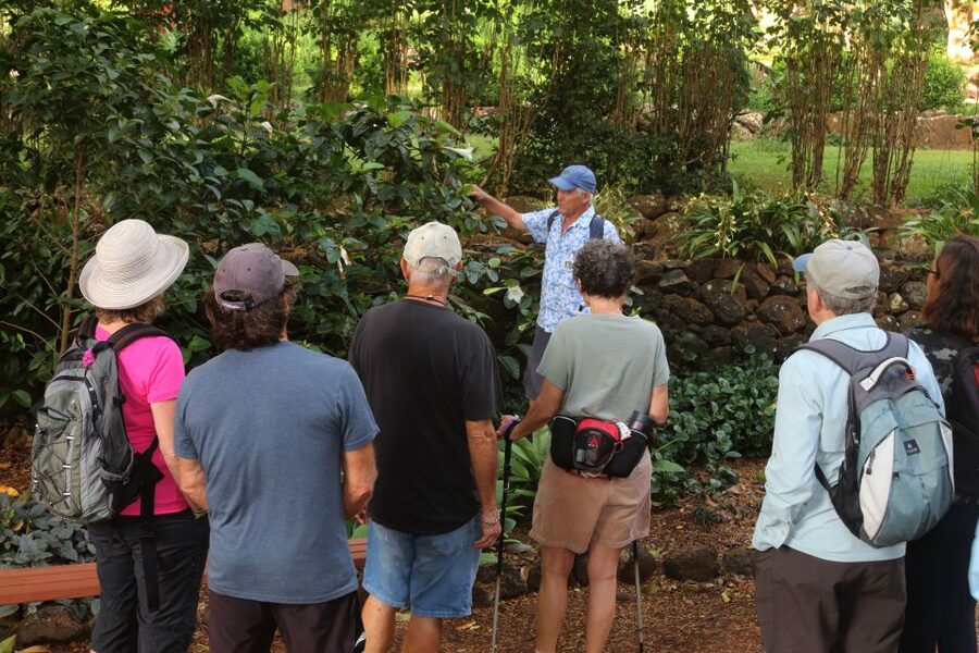 Kauai: Allerton Garden and Estate Tour with Sunset Dinner - Finding the Jurassic Park filming locations